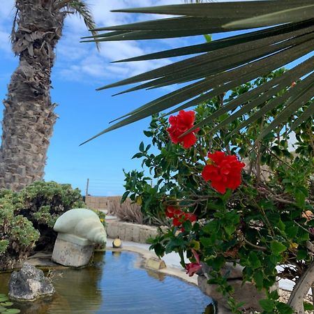 Little Paradise In El Medano 2 Granadilla de Abona Kültér fotó