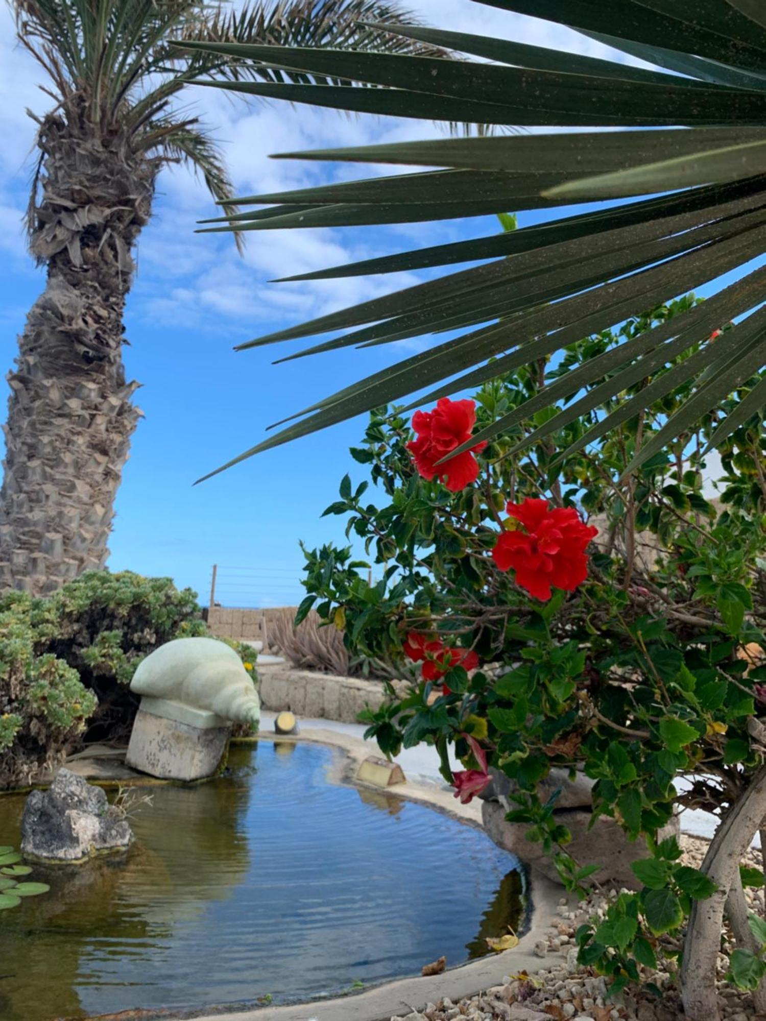 Little Paradise In El Medano 2 Granadilla de Abona Kültér fotó
